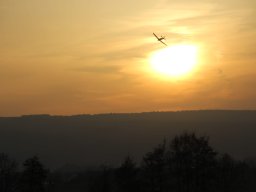 Fliegen 09 März 25